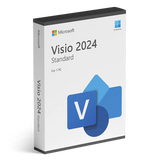 Microsoft Visio Professional 2024